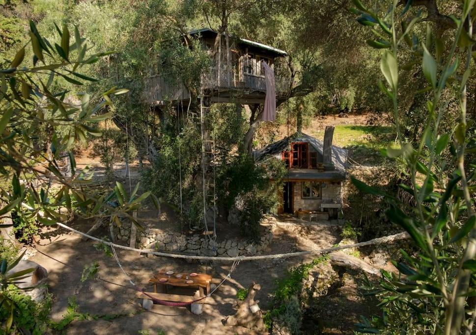 Margaritis'S Treehouse Villa Paramonas  Eksteriør billede